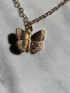 Gold Butterfly Necklace - Jewelers Garden