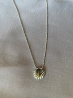 Load image into Gallery viewer, Clam Shell Necklace - Online Exclusive
