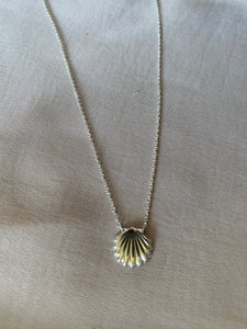 Clam Shell Necklace - Online Exclusive