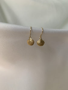 Mini Seashell Dangle Earrings - Jewelers Garden