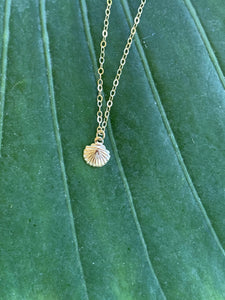Gold Shell Necklace - Jewelers Garden