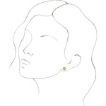 Cargar imagen en el visor de la galería, Seashell Stud Earrings - Online Exclusive
